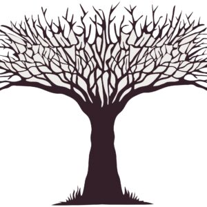 l'arbre à ramifications 7.57