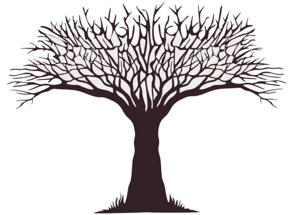l'arbre à ramifications 7.57