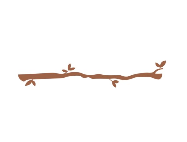 branche droite 7.62