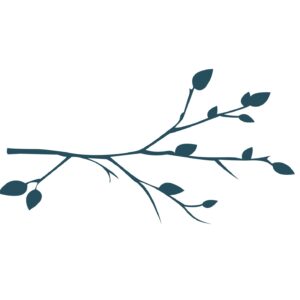 branche fine et évasée 7.63