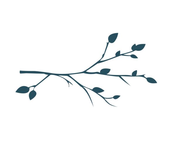 branche fine et évasée 7.63