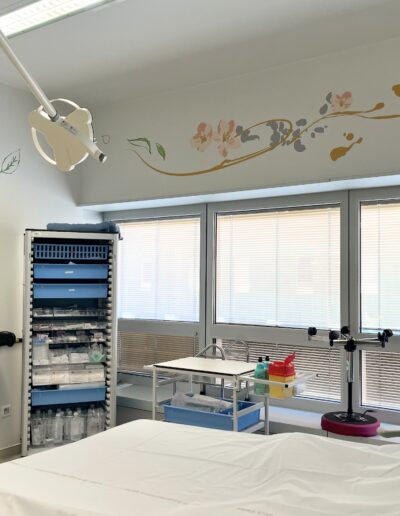 Déco murale salles de naissance 13