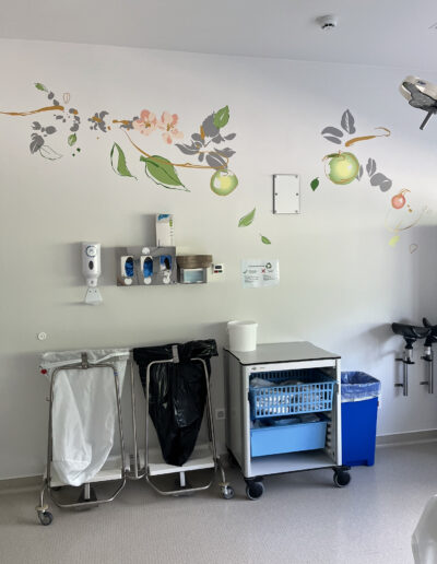 Déco murale salles de naissance 17