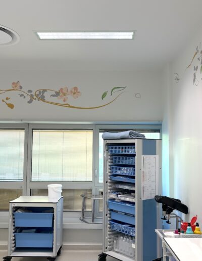 Déco murale salles de naissance 19