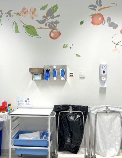Déco murale salles de naissance 22